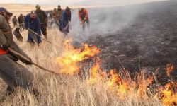 मङ्गोलियाको जङ्गल र घाँसे मैदानमा आगलागी बढ्यो