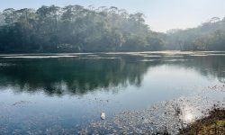 संरक्षण अभावमा ओझेल पर्दै चुरे क्षेत्रका प्राकृतिक ताल