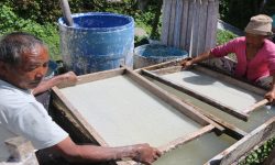 नेपाली कागजबाट मासिक एक लाख आम्दानी लिँदै पासाङ