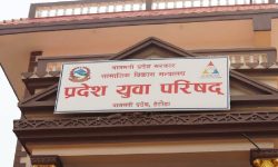 बागमती प्रदेशस्तरीय युवा सम्मेलन आजदेखि