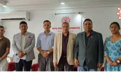नेपाल चेम्बर अफ कमर्शको ऊर्जा समितिको सभापतिमा नरेन्द्र बल्लभ पन्त चयन