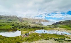 उद्धार गर्न चिठी पठाउँदा…