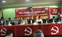 माओवादी बैठक : सदन र सडकबाट प्रभावकारी भूमिका निर्वाह गर्ने