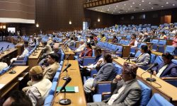 प्रतिनिधिसभा : प्राकृतिक विपदबाट हुने क्षति न्यूनीकरणमा पहल थाल्न सुझाव