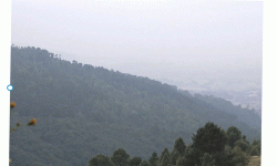 नगरकोट जङ्गलमा हराएका पर्यटकको १२ घण्टापछि उद्धार