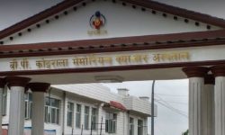 क्यान्सर अस्पतालमा ‘बोनम्यारो प्रत्यारोपण सेवा’ को तयारी