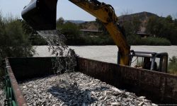 ग्रीसको भोलोसमा मरेका माछा हटाउन एक महिना सङ्कटकालको घोषणा