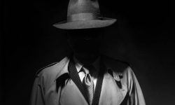 जासुसीको आरोपमा चिनियाँ नागरिक अमेरिकामा परे पक्राउ