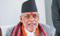 नेपाली चियाको आन्तरिक खपत बृद्धि गर्न गुणस्तर सुधारमा केन्द्रित पर्छ – कृषिमन्त्री