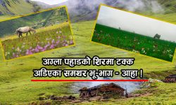 पर्यटक लोभ्याउने ‘ढोरपाटन बुकी’