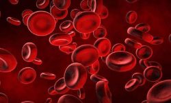 पाकिस्तानमा ४१ प्रतिशतभन्दा बढी महिला रक्तअल्पताबाट पीडित