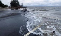 समुन्द्रले तटीय क्षेत्रको जमिन डुबाउन थालेको छ