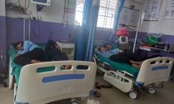 अरिङ्गालले टोकेर चारजना घाइते