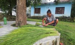 कुचोसँग चामल साटेर दैनिकी चलाउँदै ‘सम्झना’