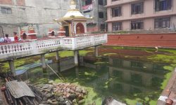 ललितपुरको तपुपोखरी जीर्णोद्धार हुँदै