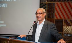 ‘नागरिकतासम्बन्धी निर्देशिकाको समीक्षा हुन्छ’