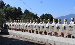 घुन्सा हेलिकप्टर दुर्घटनाको १८ वर्ष : वातावरण संरक्षणका कार्यक्रम गरी स्मरण