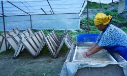 नेपाली कागज उद्योग सञ्चालन भएपछि लोक्ताको सदुपयोग