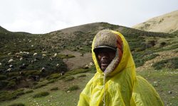 सयौँ भेडा र च्याङ्ग्रा हेर्ने हिमाली गोठाला