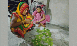 President, Vice-President messages on Jitiya festival