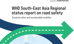 पछिल्लो १० वर्षमा सडक दुर्घटना कै कारण २४ हजार जनाको ज्यान गएको खुलासा
