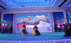 ढाका, ब्याङ्कक, जेनेभा र ब्रासिलियामा मनाइयो संविधान दिवस