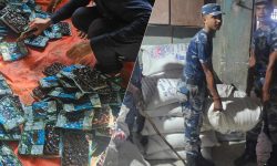 वीरगंजको गोदाममा छापा, करीब २० लाख रुपैयाँ बराबरको विभिन्न किसिमका सामानसहित व्यक्ति नियन्त्रणमा