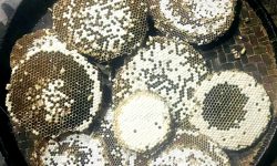 रेष्टुराँमा परिकार बनिरहेको अरिङ्गाल किन जोगाउनुपर्छ ?