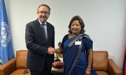 मन्त्री राणा र अमेरिकी उपमन्त्री वासबीच भेटवार्ता