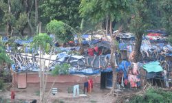 वनहराका भूमिहीनको जीवन जोखिममा