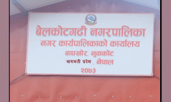 राजस्व बढी उठाउने वडालाई उपहारमा ‘योजना’