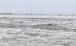 बाढीको स्थितिमा सुधार