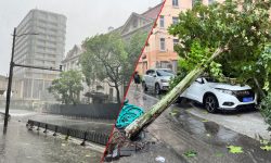 बेबिन्का’ साङ्घाईमा अवतरण