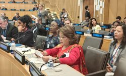 Nepal has successfully managed peace process : Foreign Minister Rana