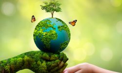 वातावरणीय अधिकारमा चुलिँदै चासो