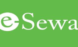 ई–सेवाको खाताबाट अनधिकृत रुपमा एक करोड ट्रान्सफर, एक युवा पक्राउ