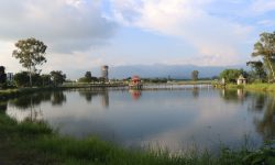 तुलसीपुरस्थित गौरीगाउँ ताल ओझेलमा