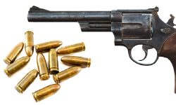 यात्रा इजाजतप्राप्त हतियारसमेत सरकारी र सार्वजनिकस्थलमा नपाइने