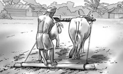 हलिया मुक्तिका सोह्र वर्ष : अवस्था अझै बदलिएन