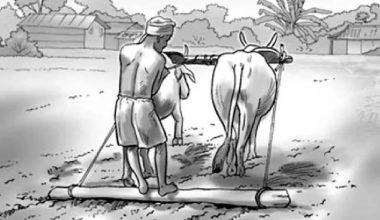 हलिया मुक्तिका सोह्र वर्ष : अवस्था अझै बदलिएन