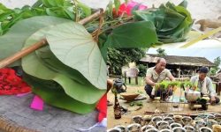 थारू समुदायमा हरेरी पूजा गरिँदै