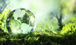 हरित अर्थतन्त्रका आधार तयार पार्नुपर्नेमा जोड