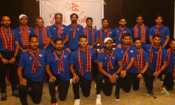 क्रिकेट खेलाडी बिदाइ