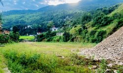 दुई वर्षदेखि खेलमैदान अलपत्र