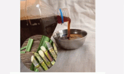 पूर्वीनाकाबाट १५ करोडको खुदो बंगलादेश निर्यात