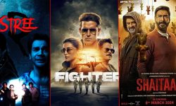 २०२४ का धेरै कमाउने बलिउड चलचित्र ! 