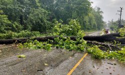 रुख ढल्दा नारायणगढ–मुग्लिन सडक अवरुद्ध