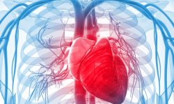 विशेषज्ञ अभावमा मुटुपरीक्षण उपकरण उपयोगविहीन