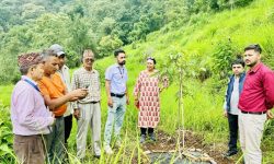 बादरबाट हैरान पर्वतका किसान व्यावसायिक ओखरखेतीमा
