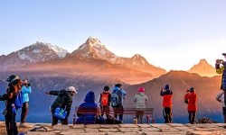 आठ दशमलव तीन प्रतिशतले बढे विदेशी पर्यटक